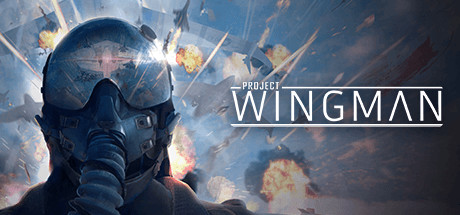 僚机计划/Project Wingman-秋风资源网